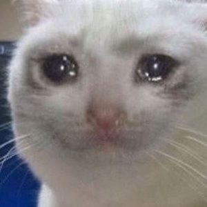 Meet your Posher, Gavin